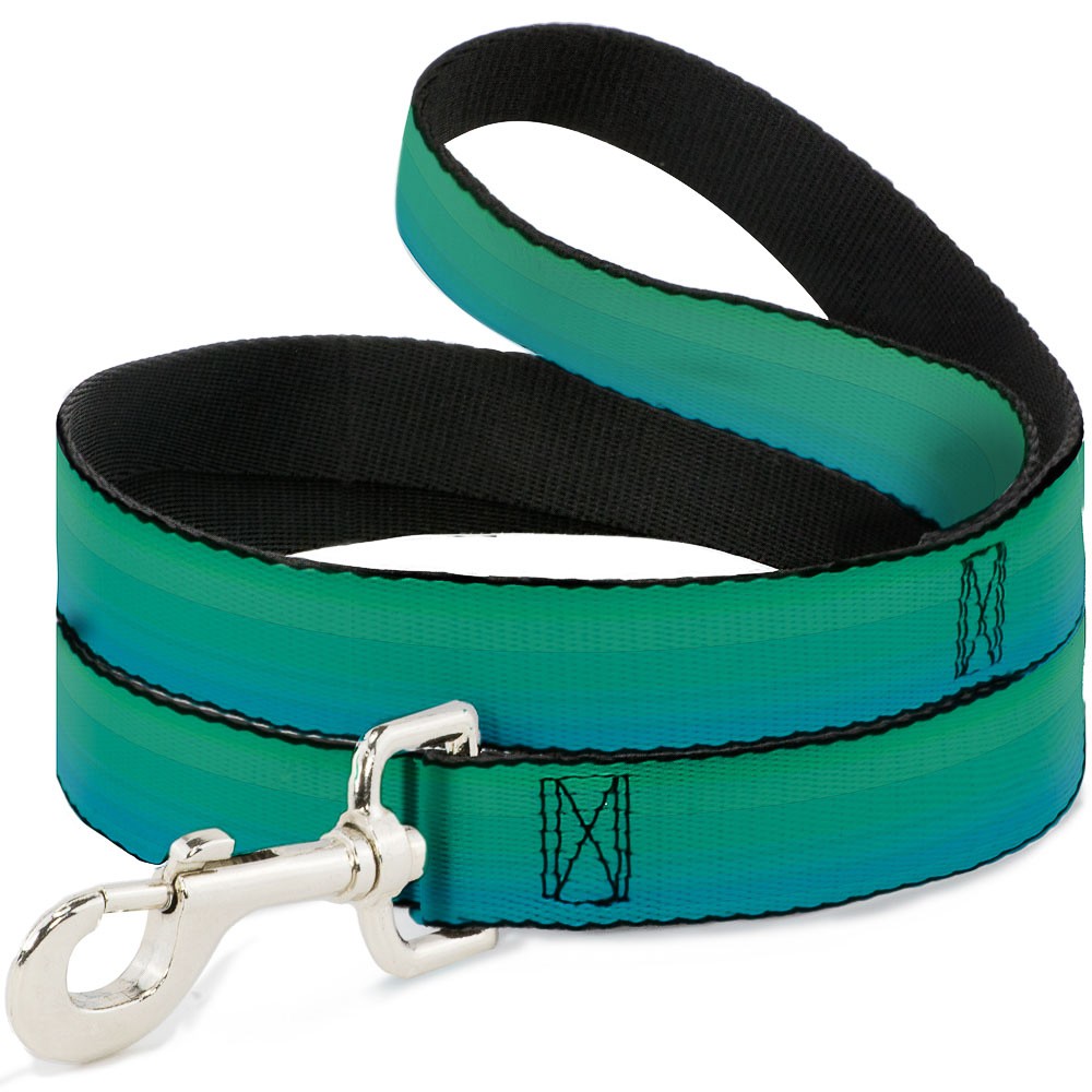 Dog Leash Teal Ombre