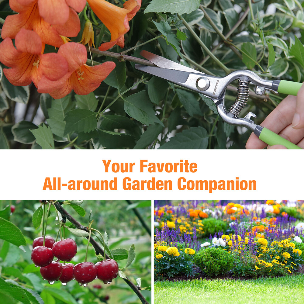 WORKPRO 2PCPruning Shears SetDropForged 8"Bypass Garden Shears&8''Handing Pruner