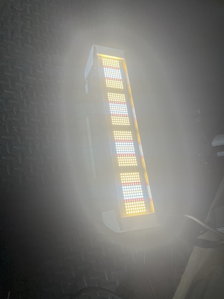 Phlizon 150 LED Grow Light