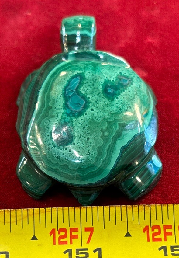 2” Malachite Turtle