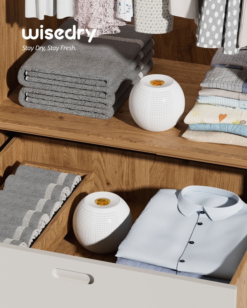 wisedry Small Desktop Spherical Dehumidifier