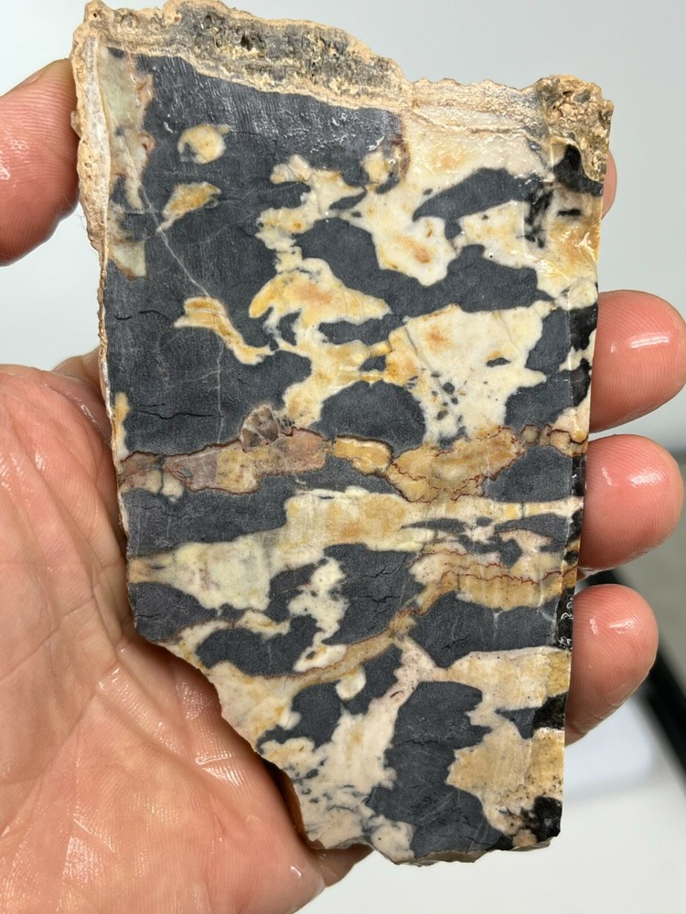 Large Roan Leopard Marble Rough Slab Cabbing Lapidary Combo Ship Avail