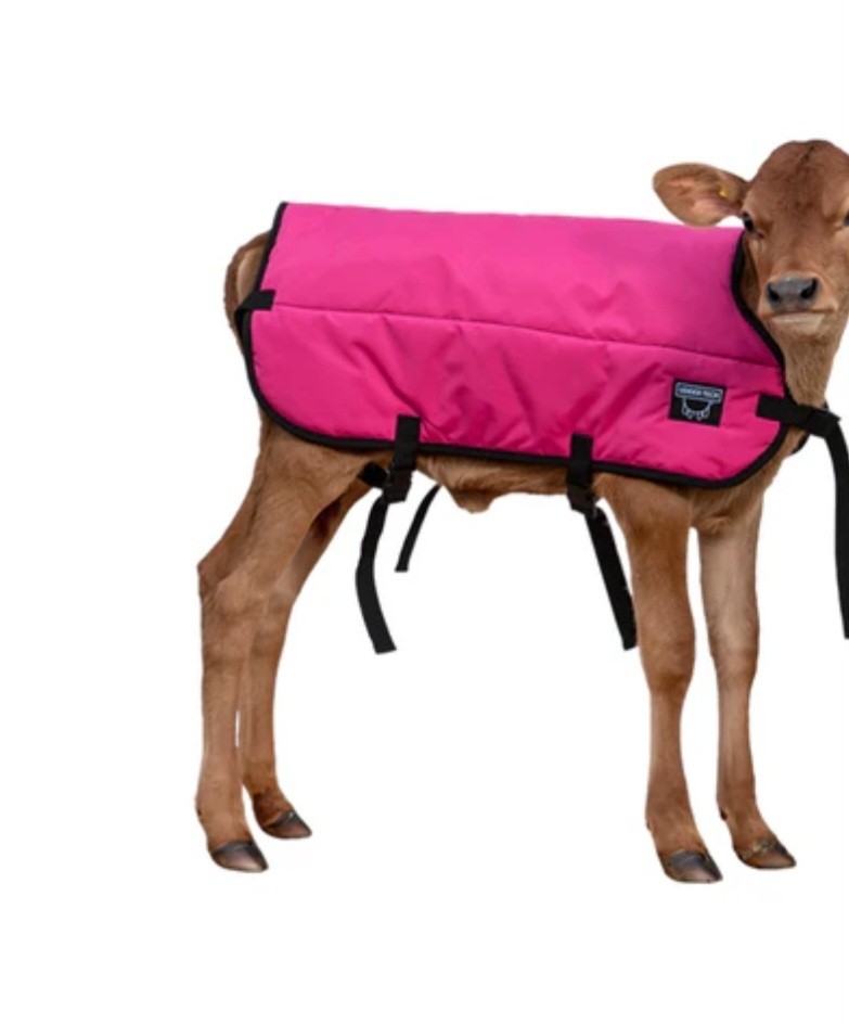 premium square front calf jacket