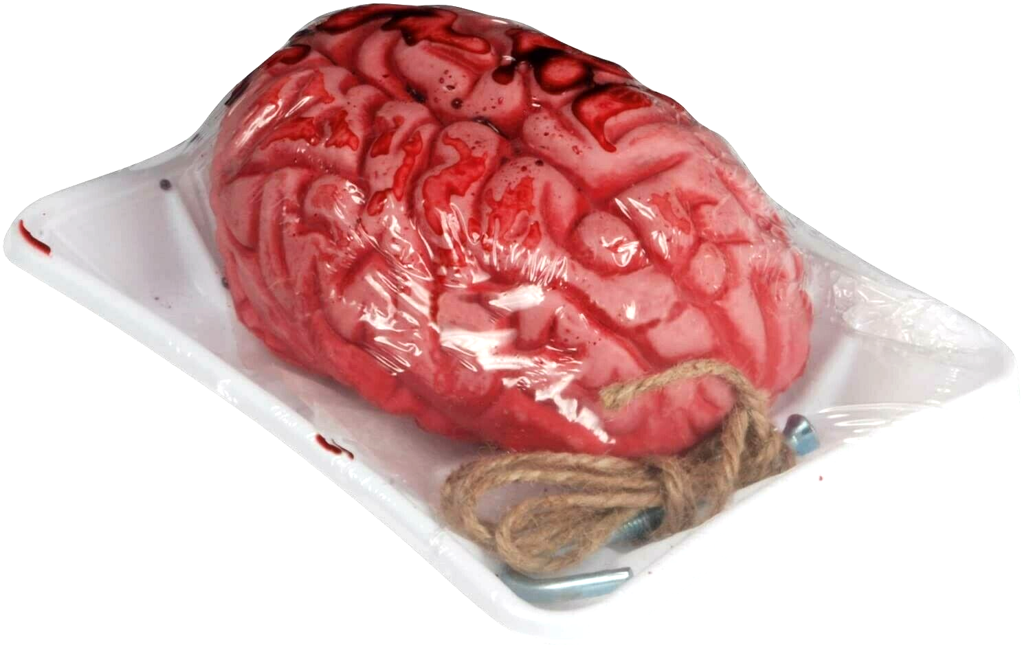 LifeSize Fake Zombie BLOODY BRAIN BUTCHER TRAY Human Organ Halloween Horror Prop