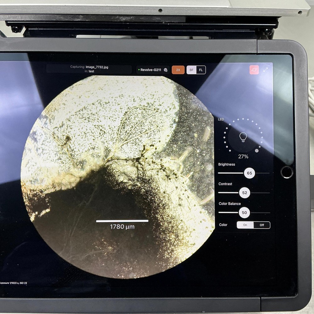 Echo Revolve RVL-100-G Brightfield Hybrid Microscope