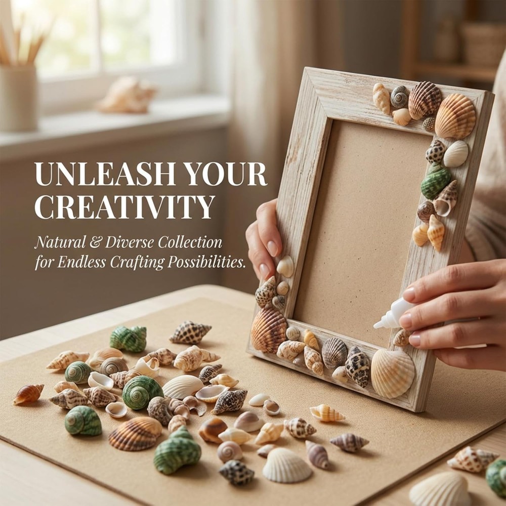 MAQIHAN Tiny Seashells for Crafts - Small Sea Shells Mixed Ocean Beach Shells Bu