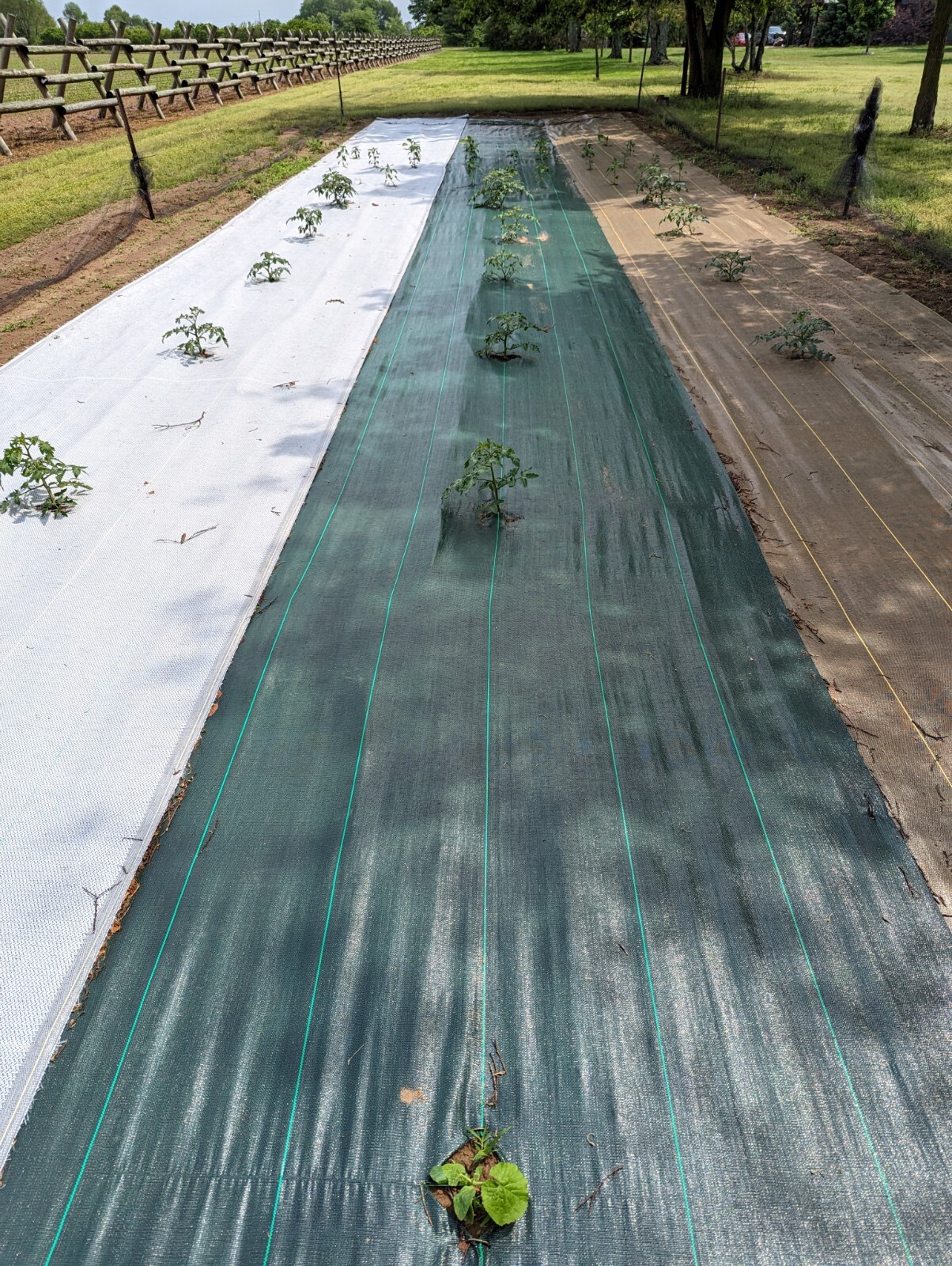 DeWitt GREEN Sunbelt 3.2 ounce Multiple Sizes 2ft, 3ft, 4ft, 6ft & 12ft