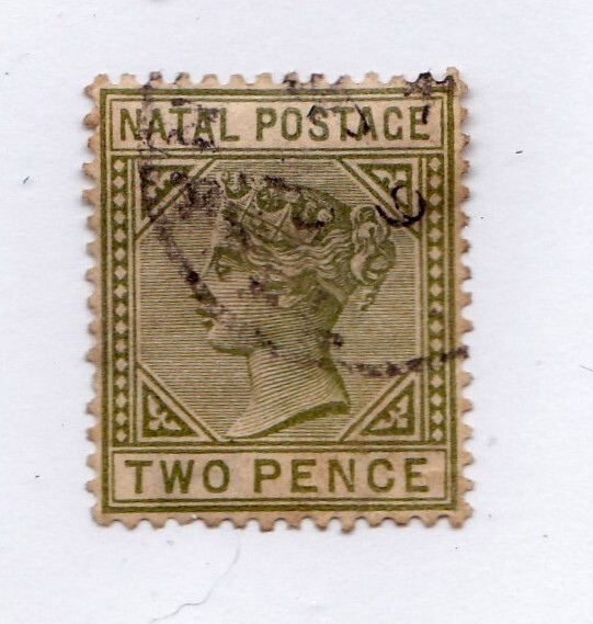 Natal        74             used