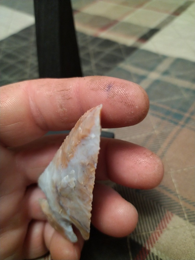 Snyder Flint Ridge Nice point 3"x1.5"