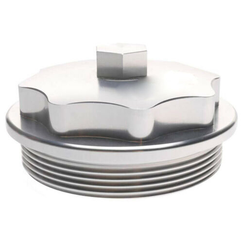 Fuel Filter Cap 1831193C91
