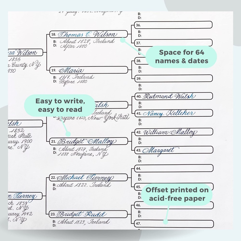 Large Print Blank Pedigree Chart 6 Generation Genealogy Form