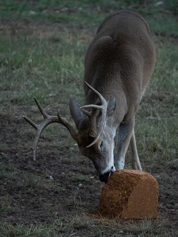 Big & J Long The Cube Range Deer Attractant Block, 25lbs,NEW