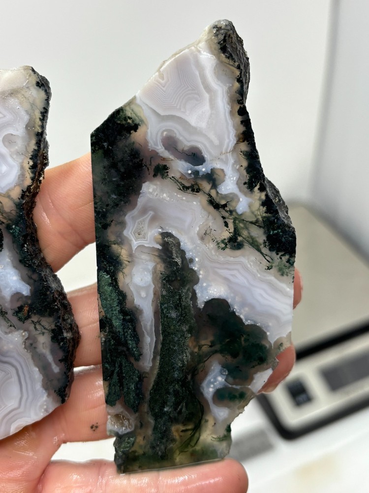 Semi-translucent Moss Agate Slabs Cabbing Lapidary Combo Ship Avail