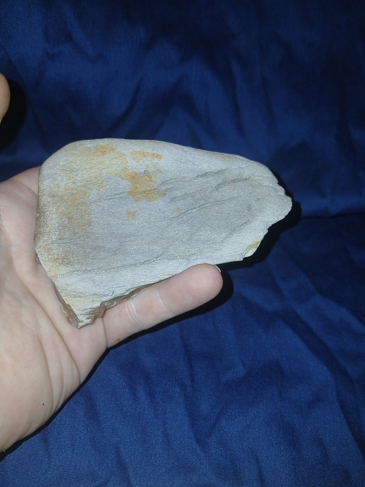 6.2 oz Petrified Wood