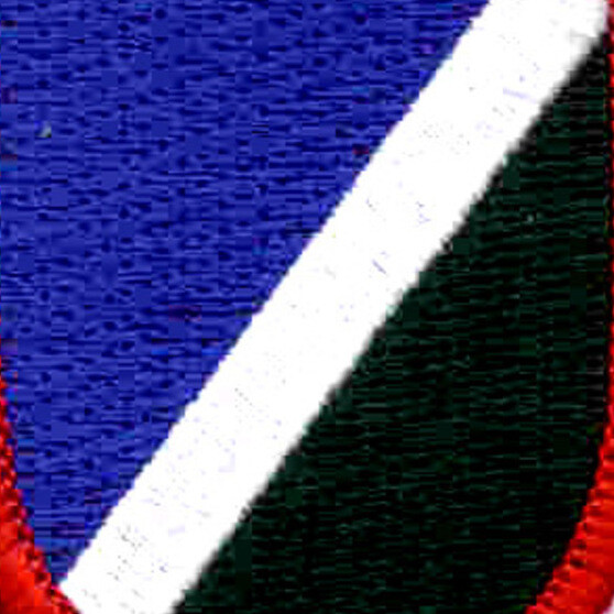 172nd Infantry Regiment Flash Patch