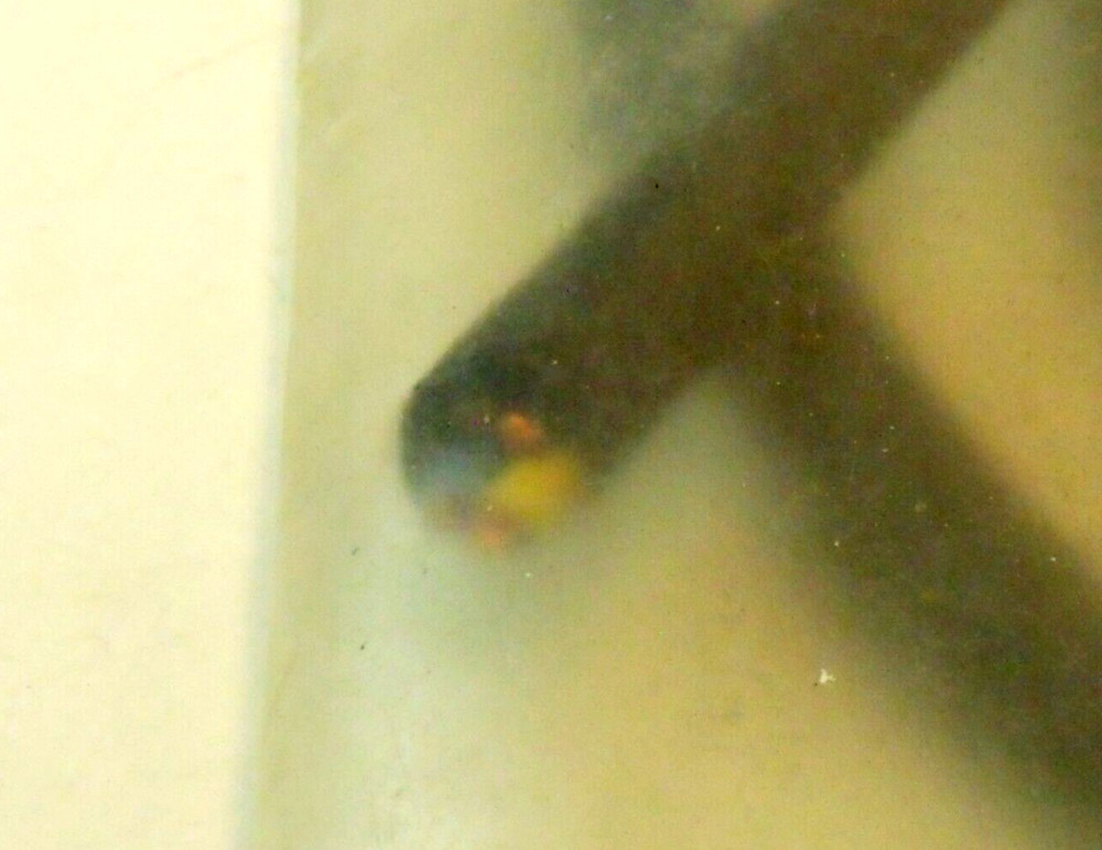 NIB Flenco 6213002 Microswitch: 5A @ 24VDC/220VAC