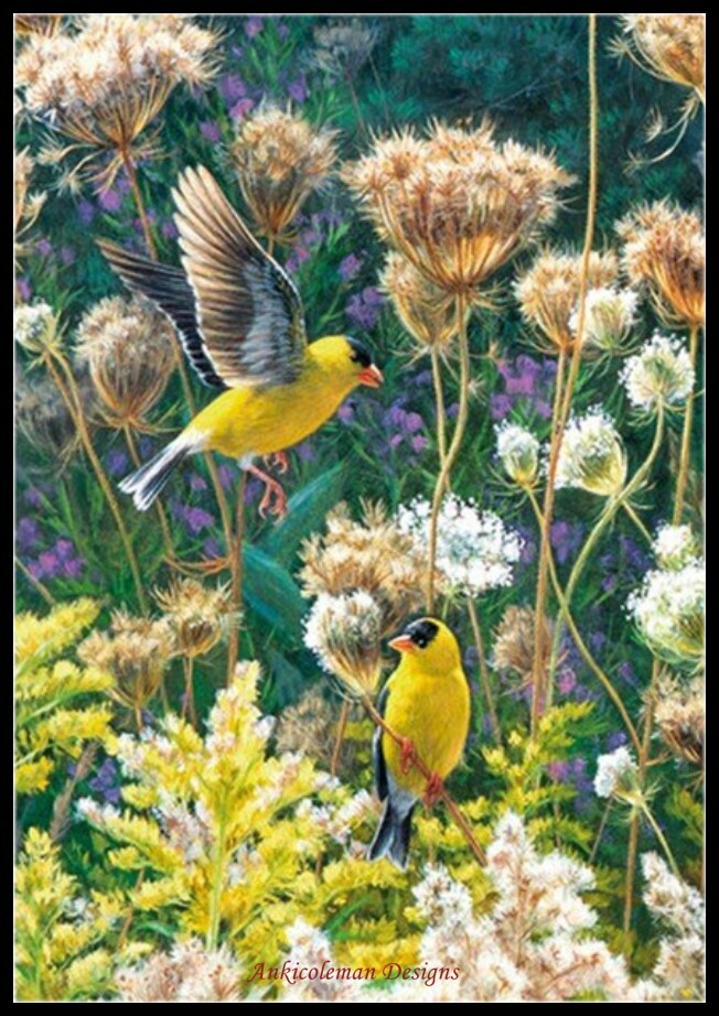 American Goldfinches - Chart Counted Cross Stitch Patterns Needlework DIY DMC