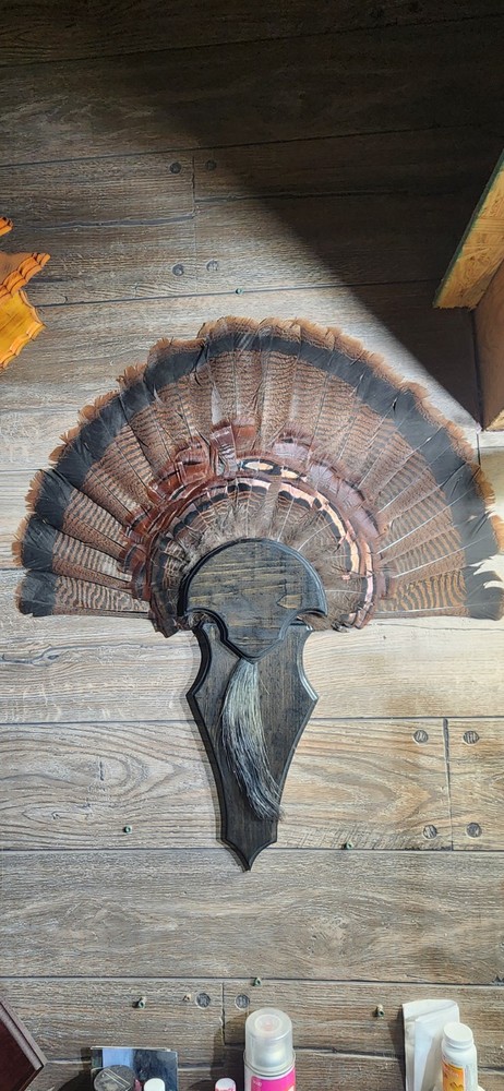 Turkey Fan Arrowhead Mounting Plaque Midnight Shield Cut
