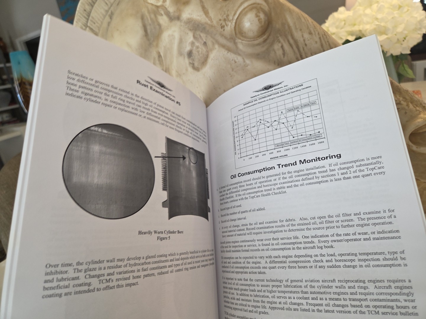Aviation Teledyne Continental Motor's - Tips on Engine Care-2003 (Read)