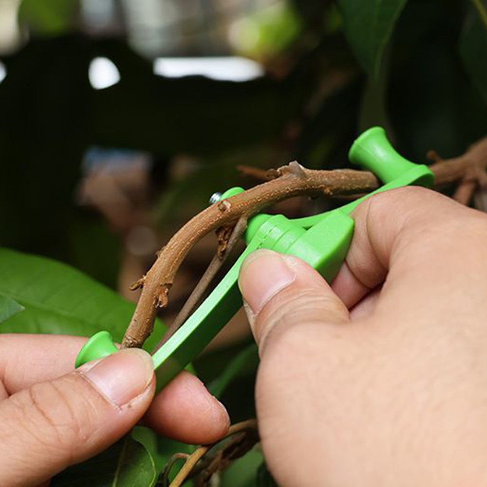 Limb Spreaders Adjustable 5Pcs Fruit Tree Branch Spreader New Branch Spreader