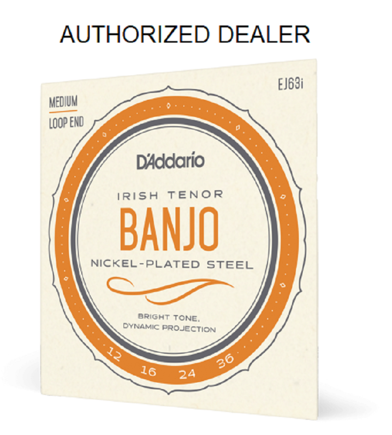 D'Addario EJ63I Irish Tenor Banjo Nickel Medium 12-36 Loop End