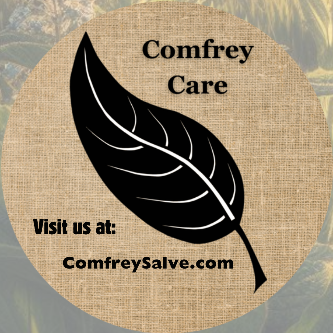Organic Comfrey Salve | Joint/Muscle Aches, Sprains, Bruises, Itchy Skin, Eczema