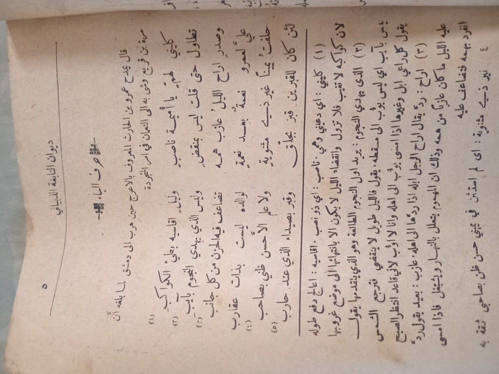 1906 arabic book. Ottoman print.5 دواوين العرب