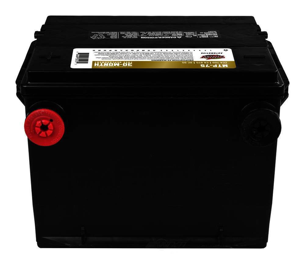 Vehicle Battery-DIESEL Interstate MTP-75