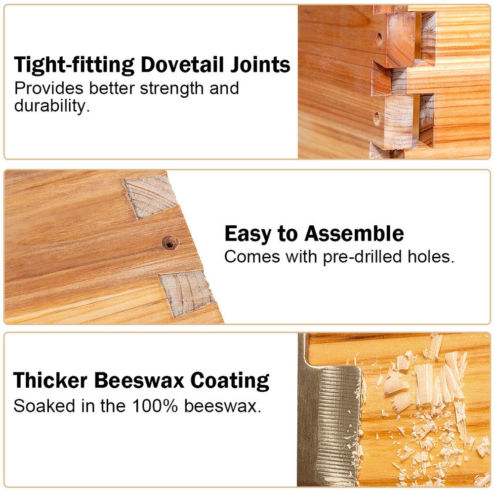 BeeCastle 10 Frame Beehive ( 2 Deep Brood Bee Boxes & 1 Medium Super Bee Box)