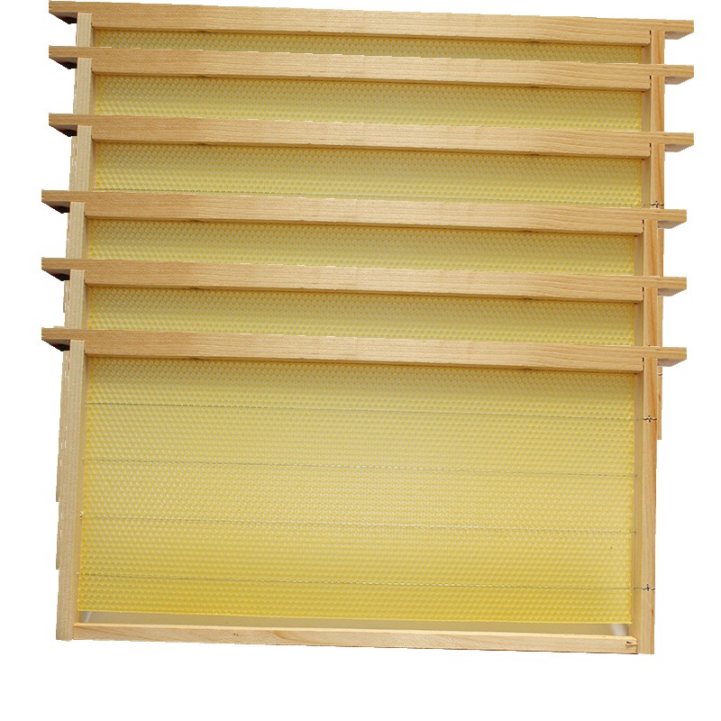 10 Assembled Beehive Frames, Coated Beeswax Foundations for Beekeeping