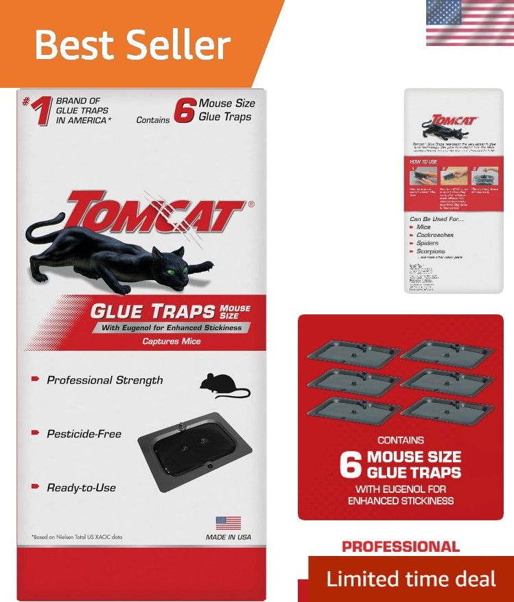 Ready-to-Use Eugenol Mouse Glue Traps – 6 Disposable Pest Control Solutions