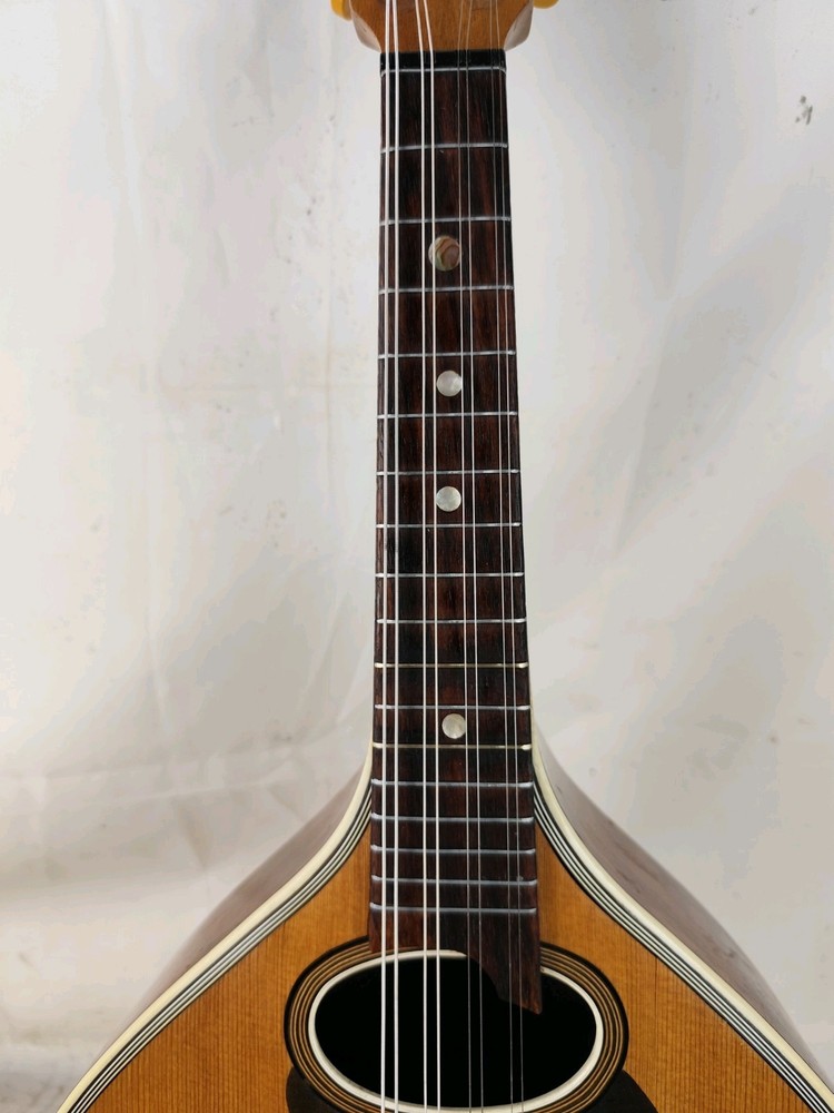 Mandolin 4/4 Herm Hauser 1924 Munich 曼陀林 만돌린マンドリン
