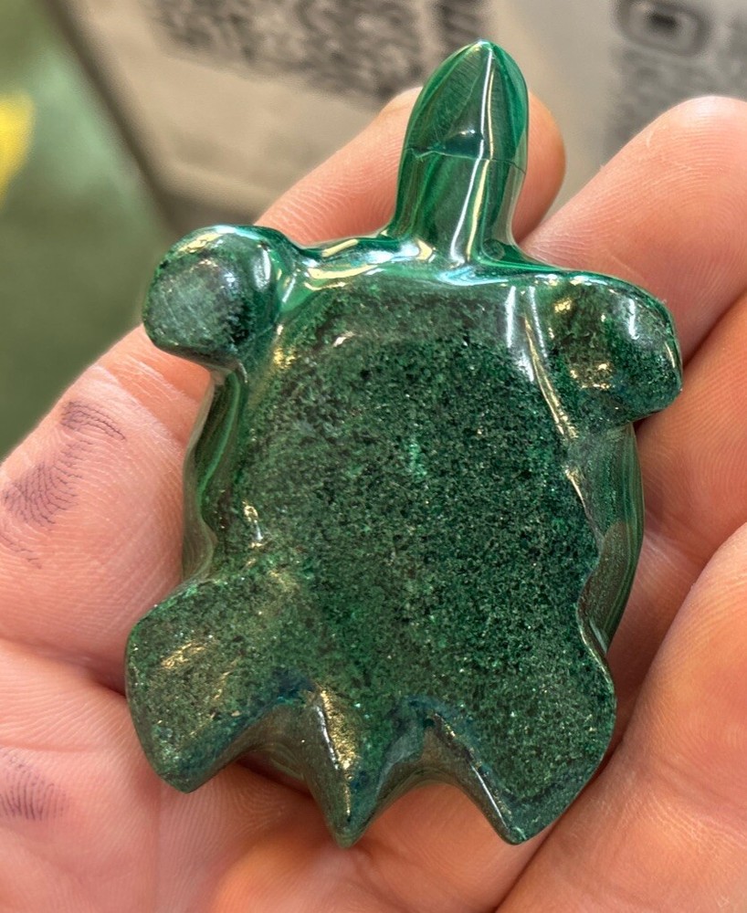 2” Malachite Turtle