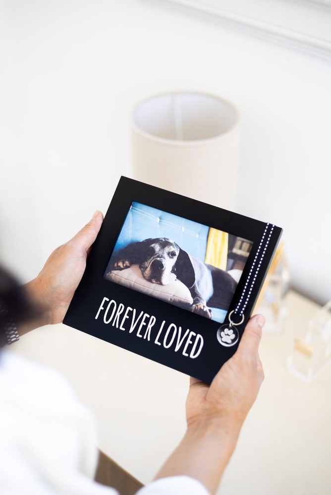 Pearhead Forever Loved pet Memorial Collar Frame, Frame