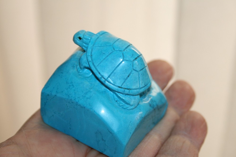 Turtle on a Rock