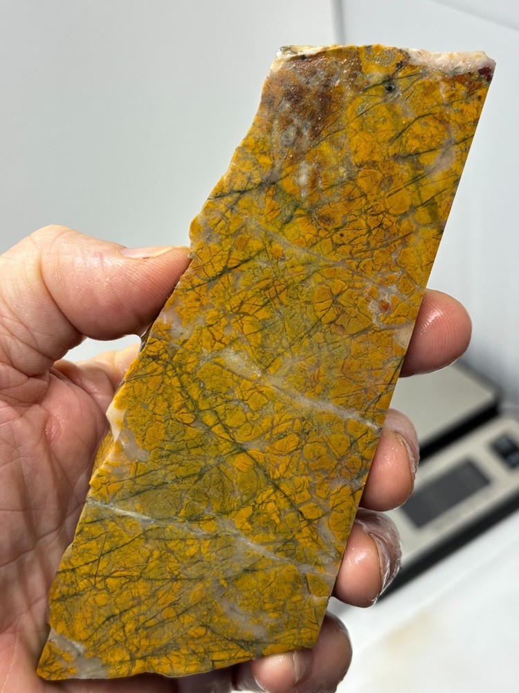 Brecciated Jasper Slab Cabbing Lapidary Combo Ship Available