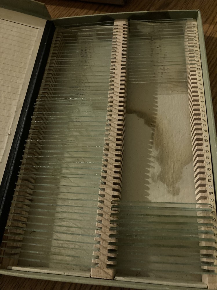 Vintage MICROSCOPE SLIDE SET MOUNTS CROSS SEC German