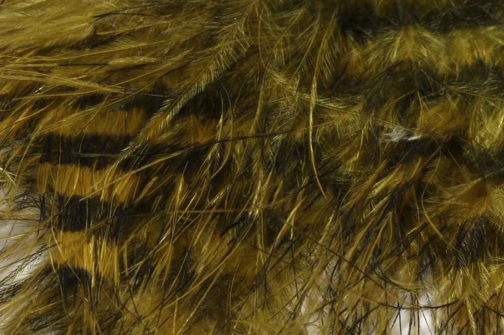 Jailhouse Marabou