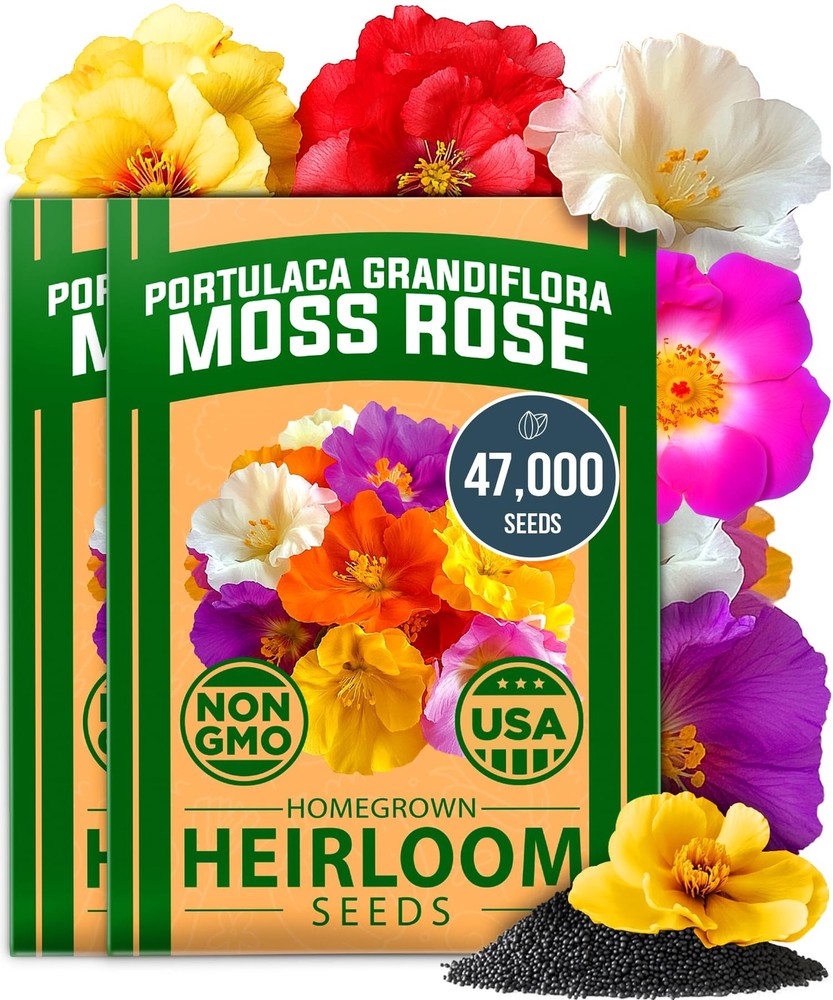 HOME GROWN 47000+ Moss Rose Seeds (Bulk Pack) Annual Flower for 2-Pack, Multi