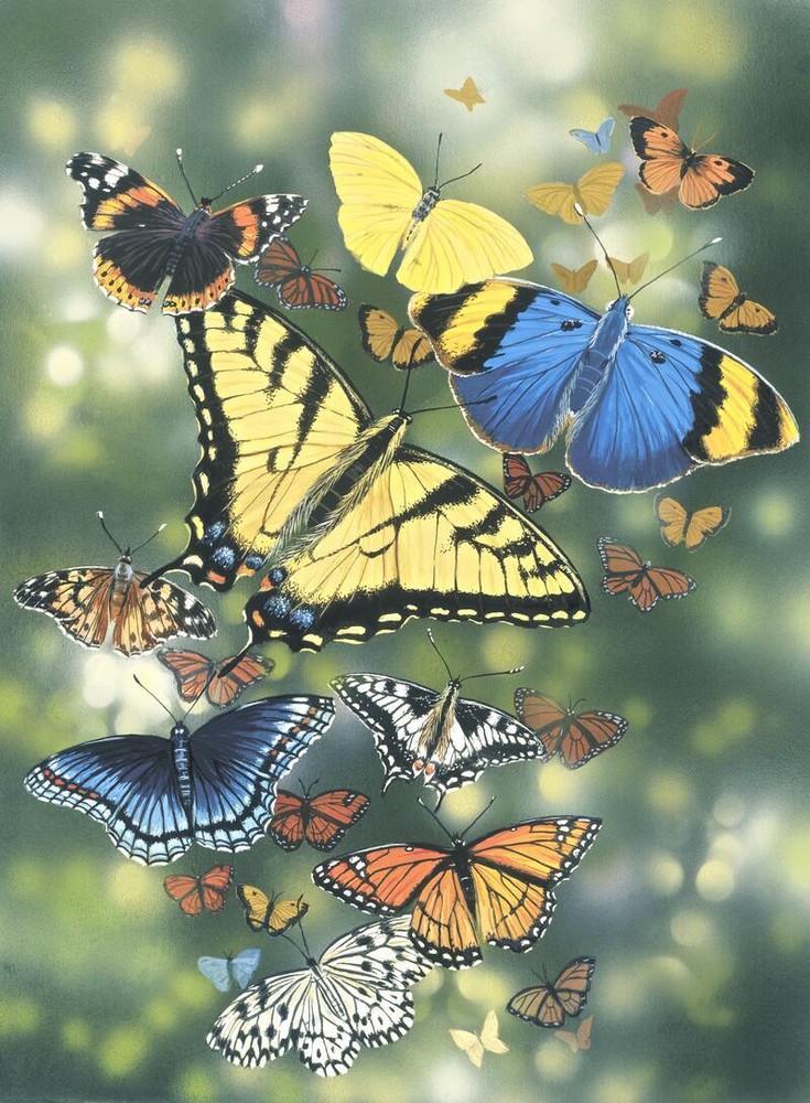 Ceramic Backsplash Tile Mural Butterfly Kitchen/Bathroom - Flying Flowers