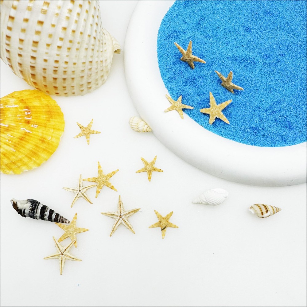 JJGQAZ 1 Box 100PCS Small Tiny Small, Tiny, Medium, 0.5-1.5cm/0.2"-0.6"