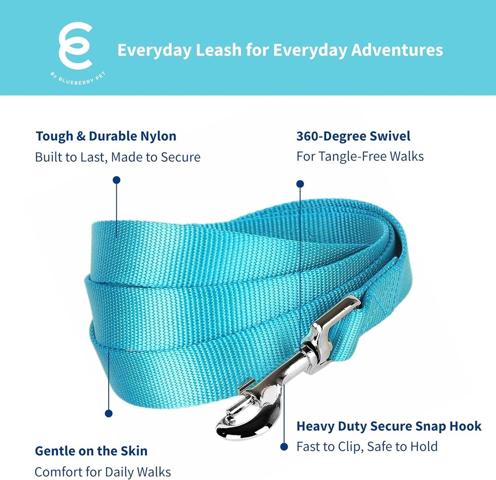 Dog Leash Essentials for Small Dogs