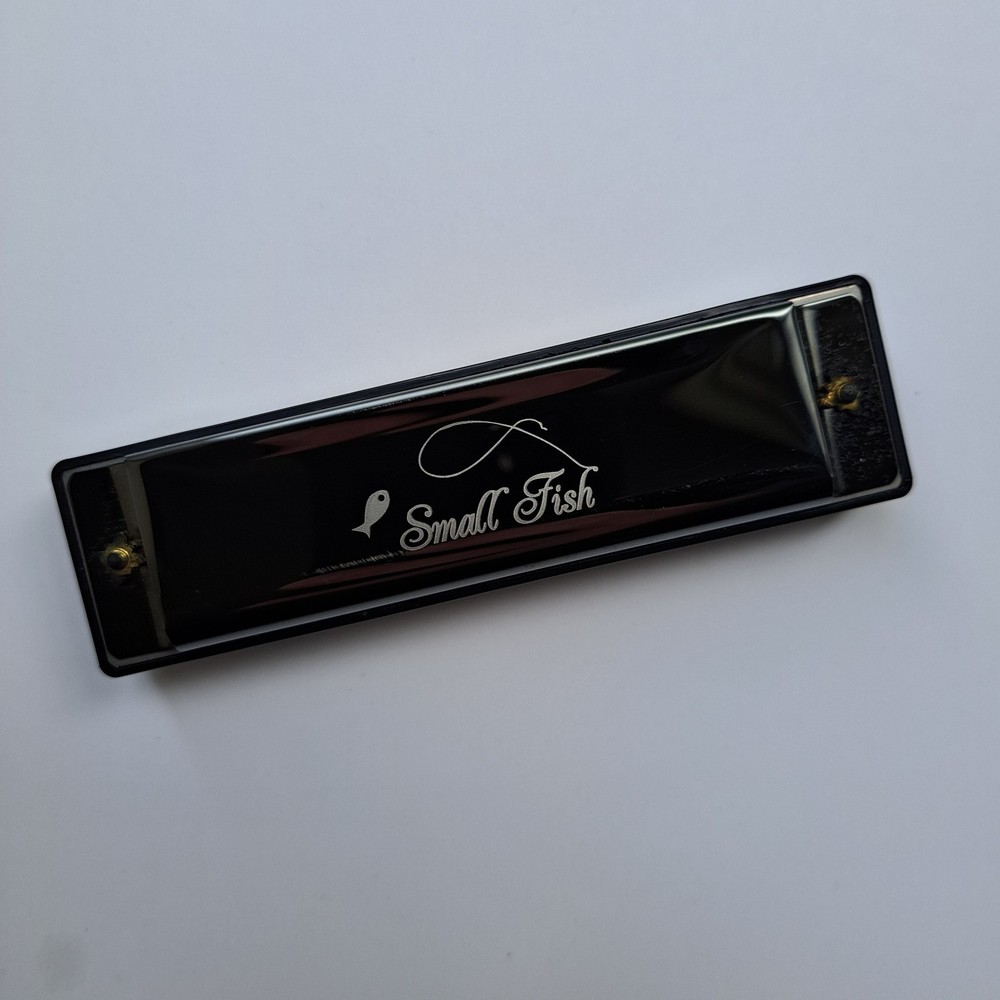 Small Fish 10‑Hole Diatonic Harmonica – Beginner Model w/ Box