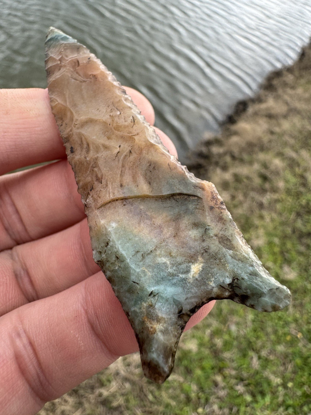 Rare Colorful KILLER Native American Oklahoma Paleo Dalton Fluted Arrowhead Poin