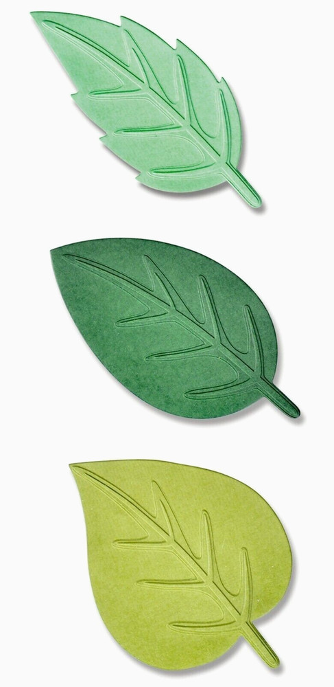 Sizzix SPRING LEAVES SWITCHLITS 665737 EMBOSSING FOLDER + DIES by Kath Breen