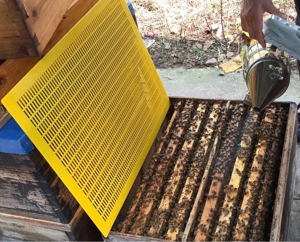 4 PCS Plastic Queen Excluder 10 Frame Queen Bee Excluder Langstroth Hives