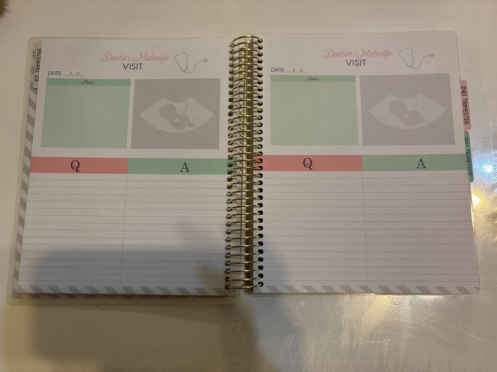 Recollections Pregnancy Spiral Planner