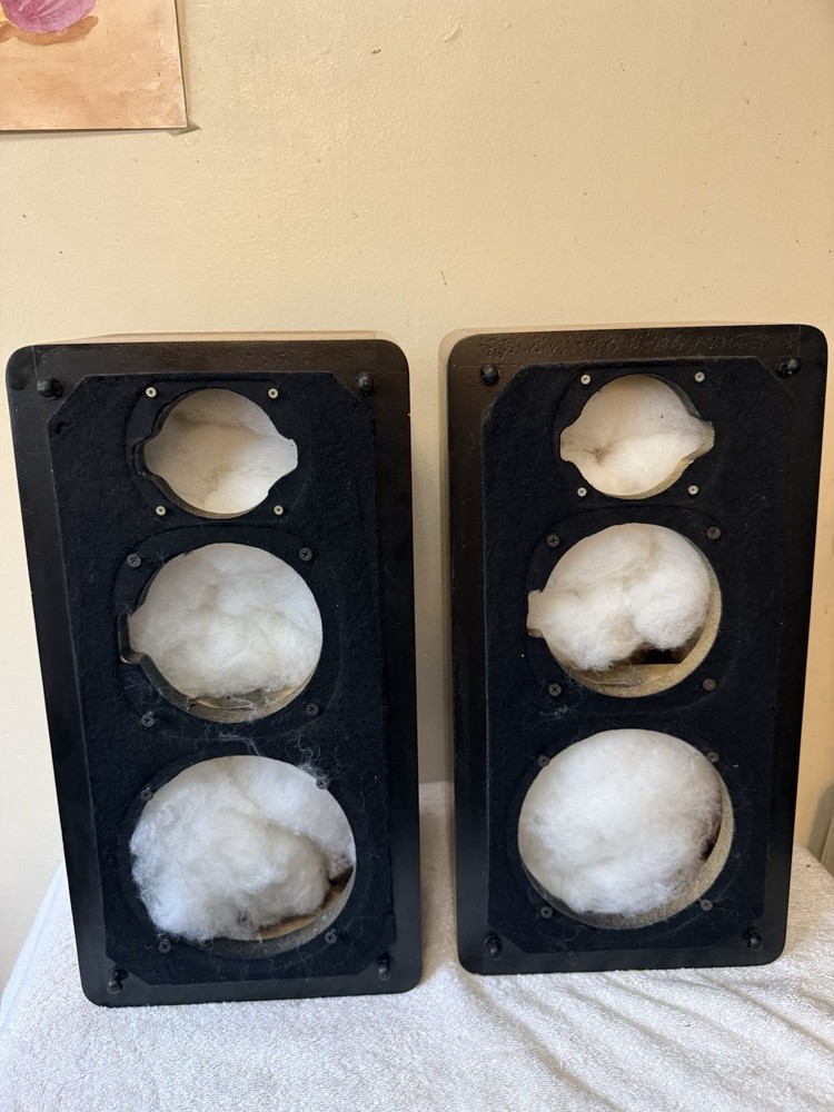 GNP 220 Speaker Empty Cabinet With Covers Only