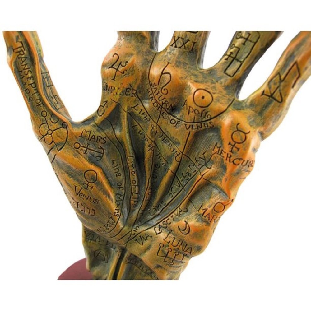 Alchemy Mummified Palmistry Hand Gothic