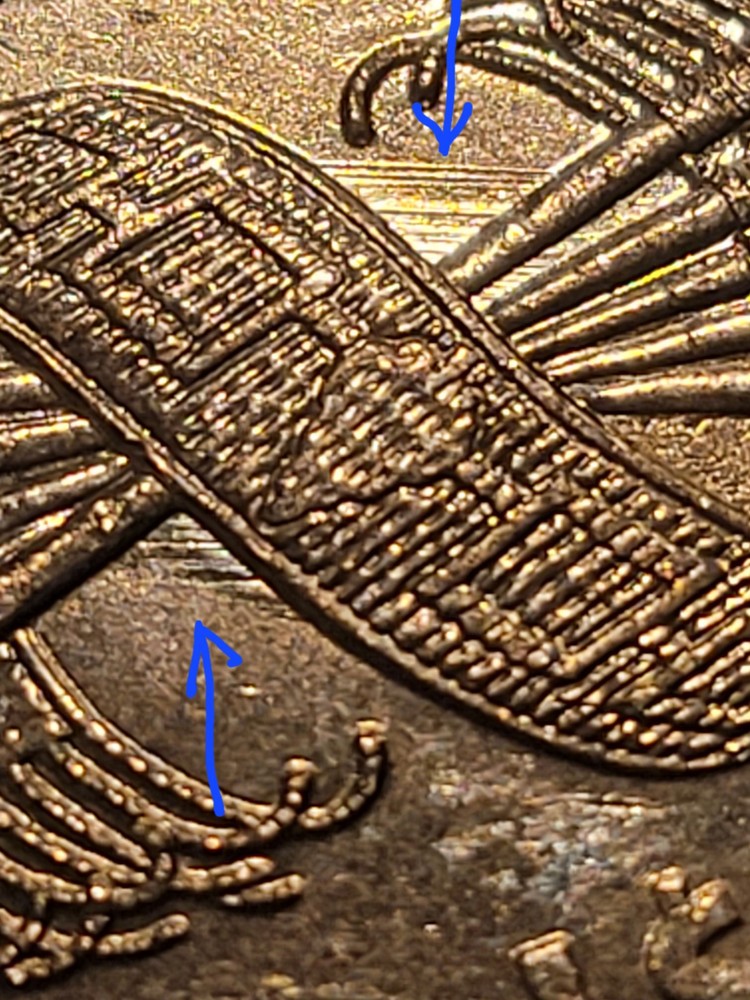 2010p Sacagawea One Dollar/Error